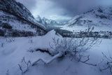 Winter is coming Poster och Canvastavla