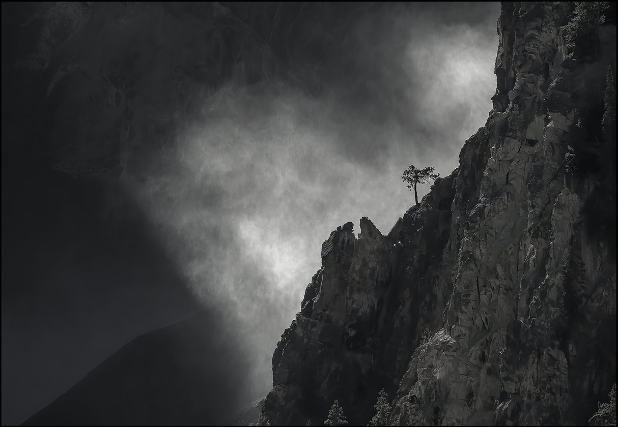 Mountain, Fog and the Tree Poster och Canvastavla