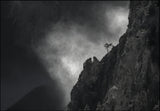 Mountain, Fog and the Tree Poster och Canvastavla