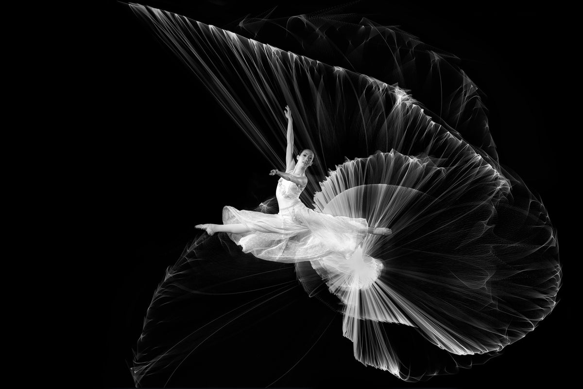 Come...let dance Poster och Canvastavla