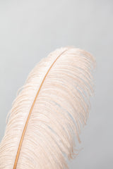 Feather_1 Poster och Canvastavla