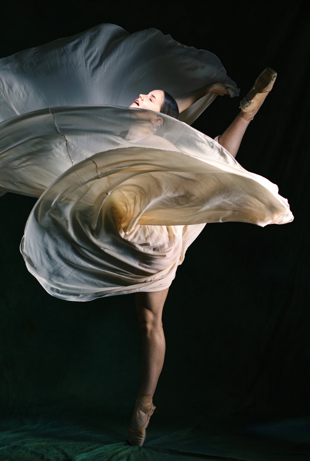 The dancer. Poster och Canvastavla