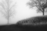 Foggy morning Poster och Canvastavla