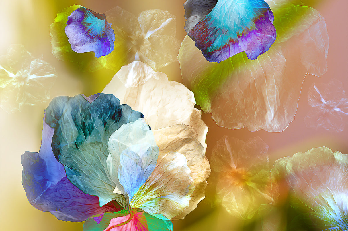Floating petals Poster och Canvastavla