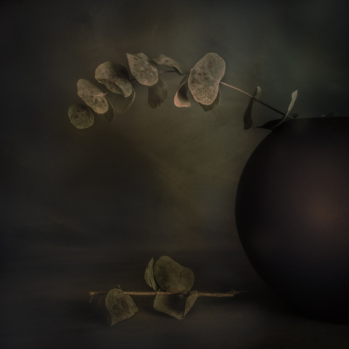 One Side Revealed Poster och Canvastavla