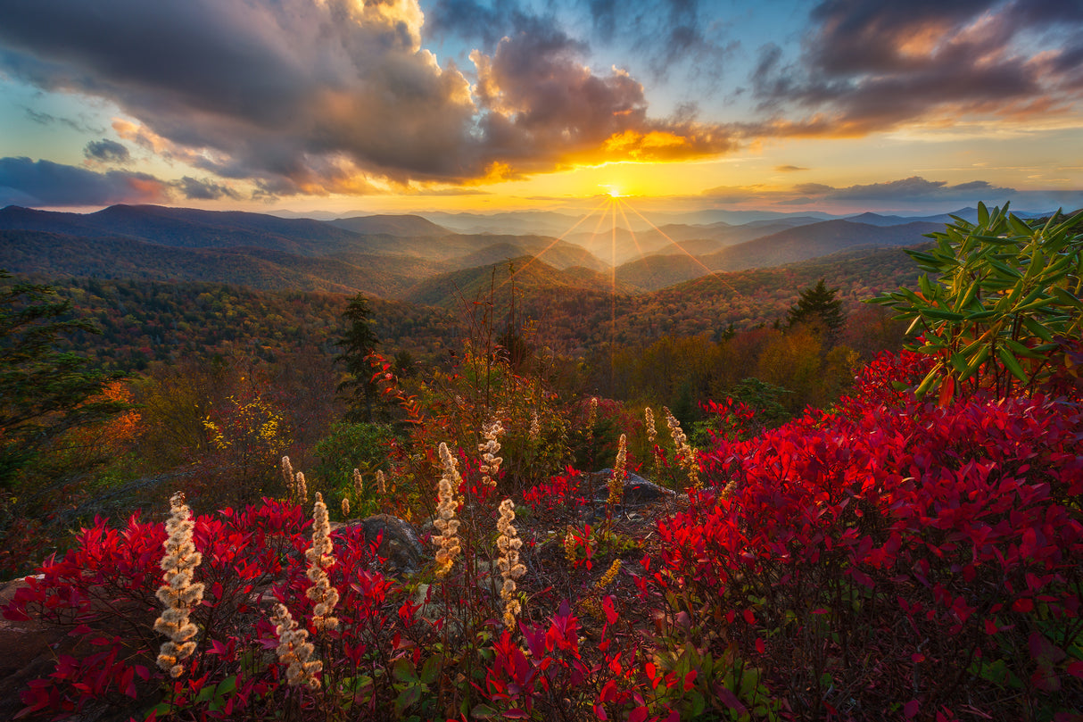 Golden Glow over The Blue Ridge Poster och Canvastavla