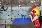Missy Chicken Poster och Canvastavla