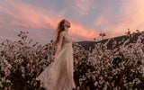 Sunset in the cotton field Poster och Canvastavla