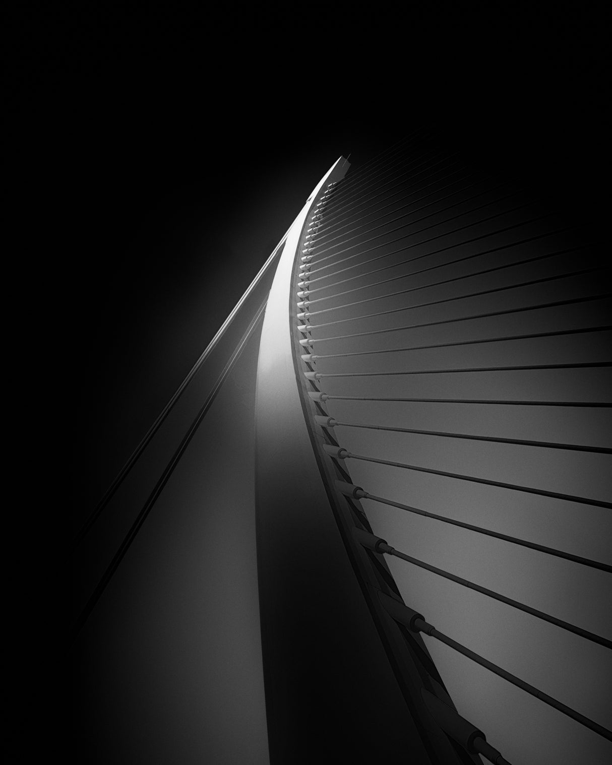 Light contrasts Poster och Canvastavla