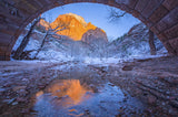 Zion National Park_02 Poster och Canvastavla