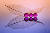 Three Buble and leaf Poster och Canvastavla
