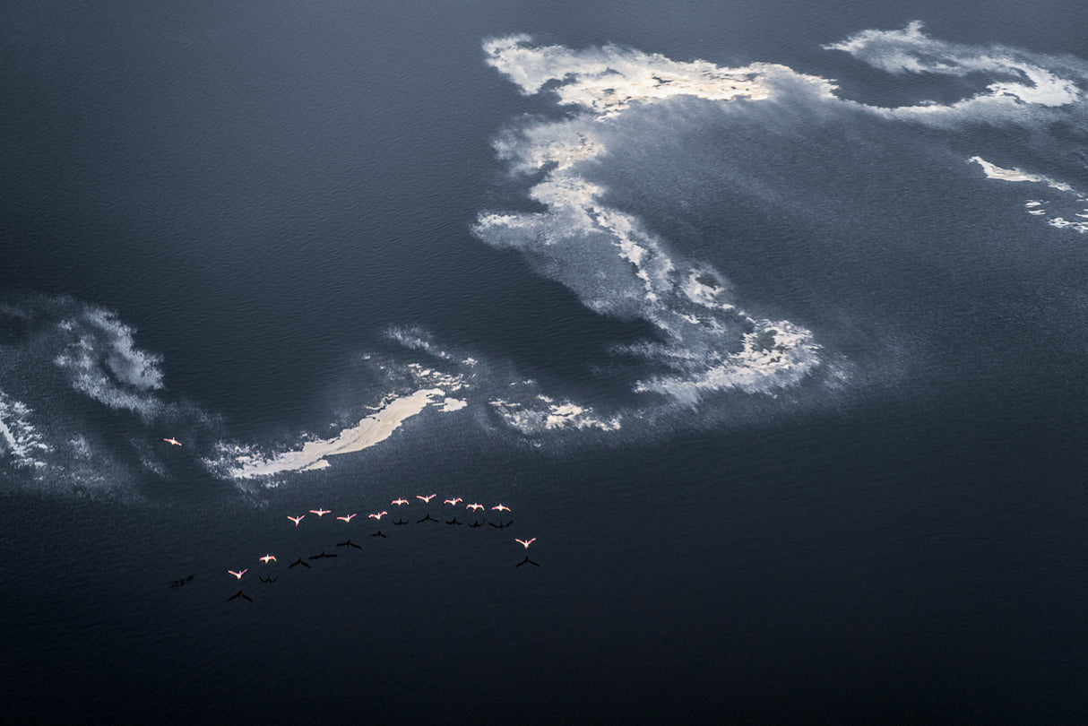 Chasing the Waves Poster och Canvastavla