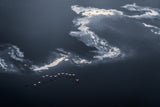 Chasing the Waves Poster och Canvastavla