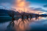Glenorchy Dawn Poster och Canvastavla