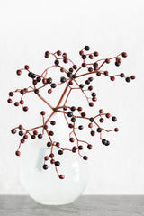 Vase_berries Poster och Canvastavla