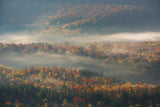 Misty Morning Poster och Canvastavla