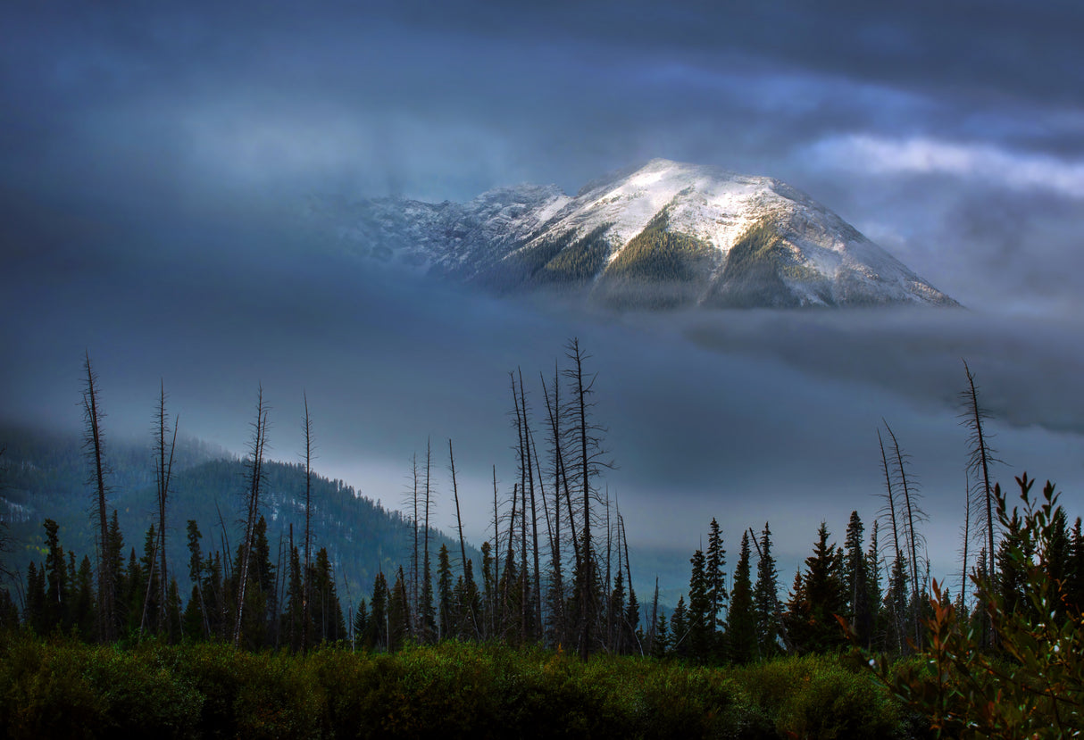 Mount Rundle Poster och Canvastavla