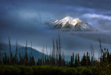 Mount Rundle Poster och Canvastavla