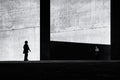 Between light and shadow II Poster och Canvastavla