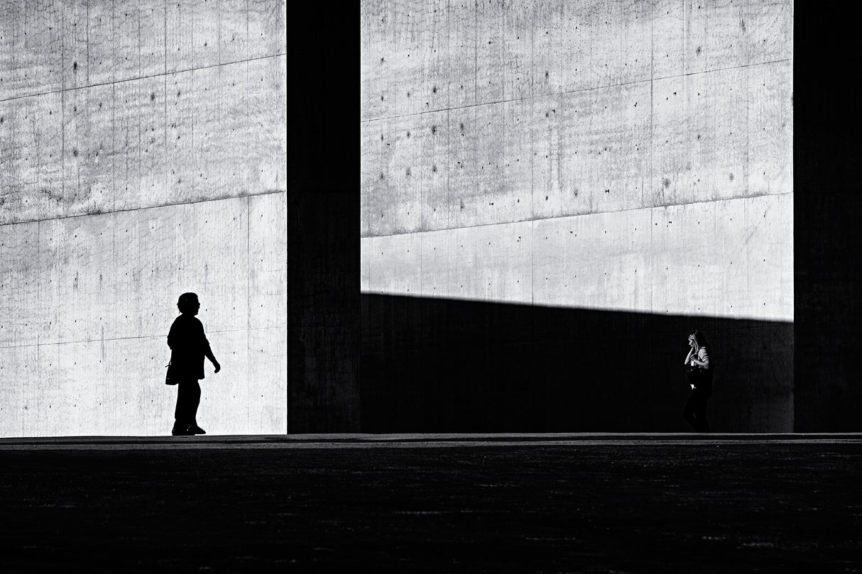Between light and shadow II Poster och Canvastavla