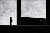 Between light and shadow II Poster och Canvastavla