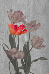 Aflame Poster och Canvastavla