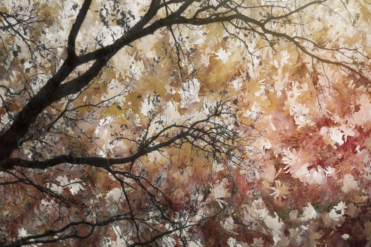Sea of flowers Poster och Canvastavla