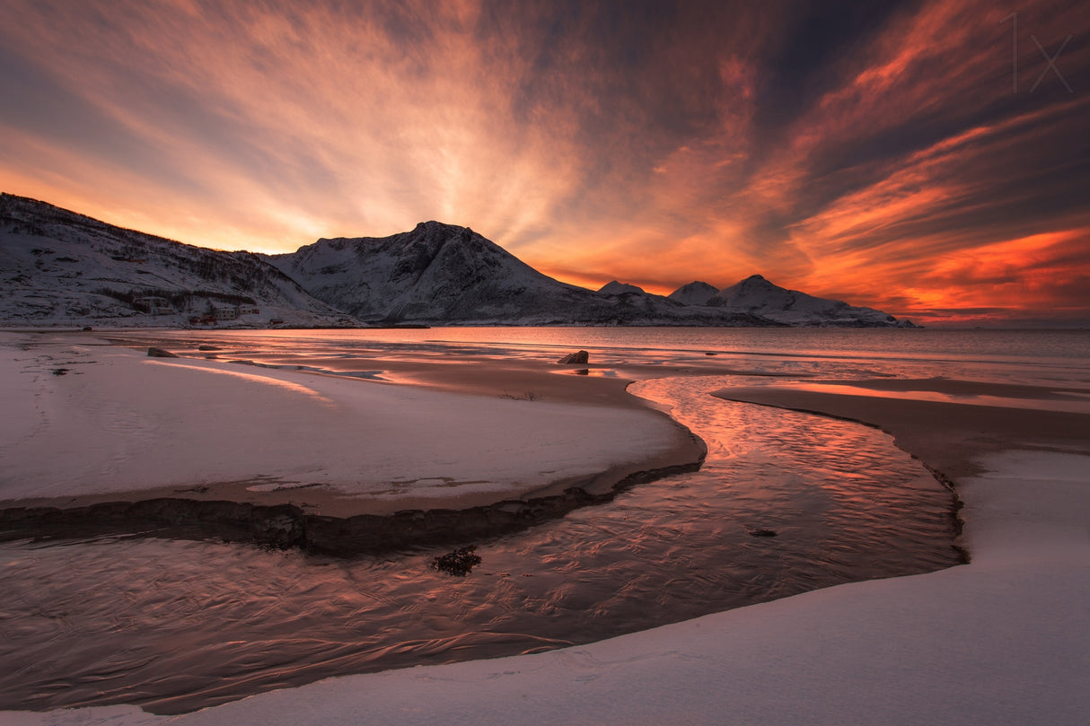 Golden Sunset Poster och Canvastavla