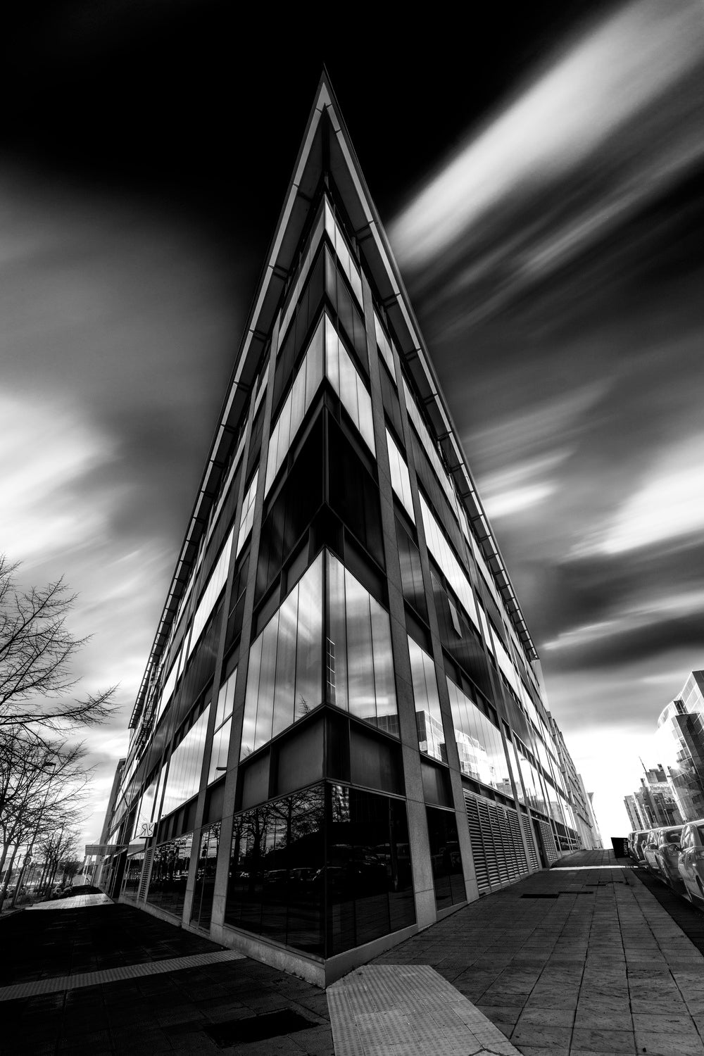 The House of Black and White Poster och Canvastavla