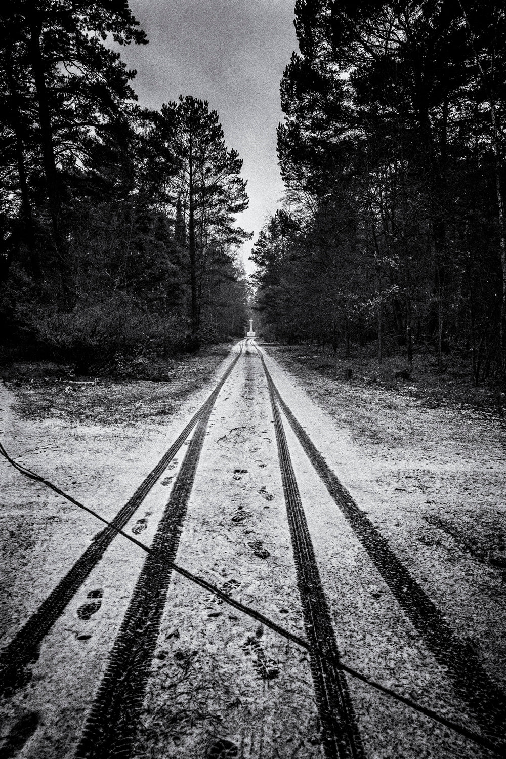 Towards the end of the road Poster och Canvastavla