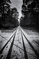 Towards the end of the road Poster och Canvastavla