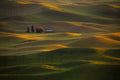 Sunset at Rolling Hills Poster och Canvastavla