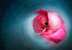 Pink ballerina Poster och Canvastavla