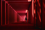 Woman in red Poster och Canvastavla