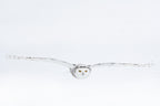 White on white Poster och Canvastavla