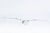 White on white Poster och Canvastavla