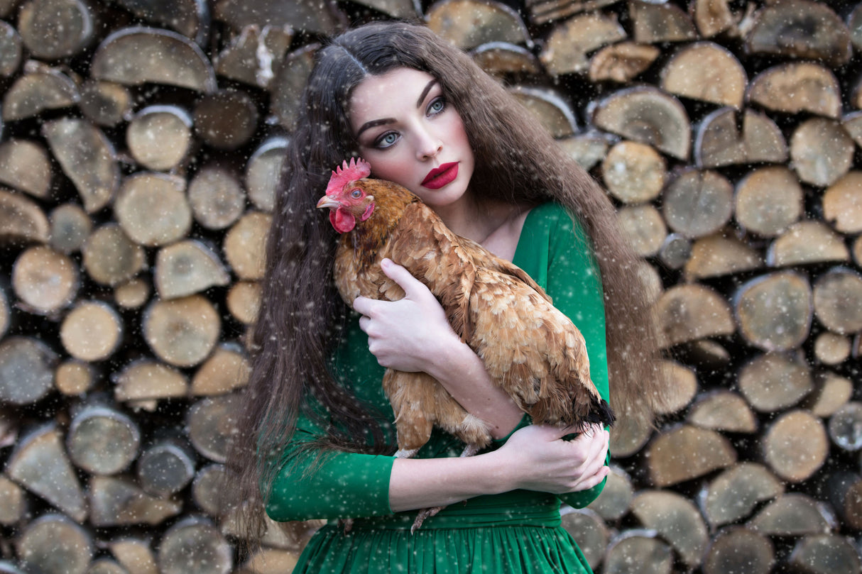 My little hen Poster och Canvastavla