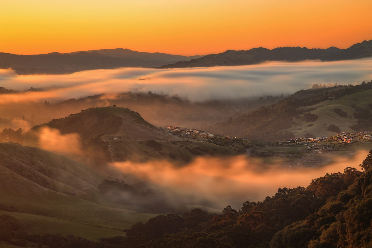 A Foggy Morning in East Bay Poster och Canvastavla