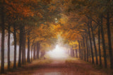Foggy autumn dream Poster och Canvastavla
