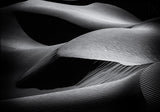 Shapes of the Dunes Poster och Canvastavla