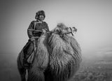 Farmer and His Camel Poster och Canvastavla