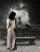 The Crimson Daughter Poster och Canvastavla