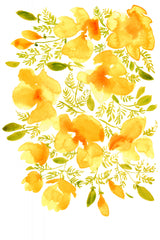 Watercolor California poppies quad 3 Poster och Canvastavla