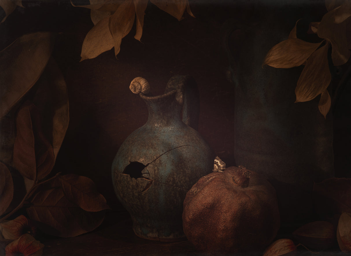 Cracked jug and moth Poster och Canvastavla