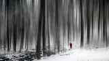 to the unknown.. Poster och Canvastavla