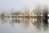 january morning Poster och Canvastavla