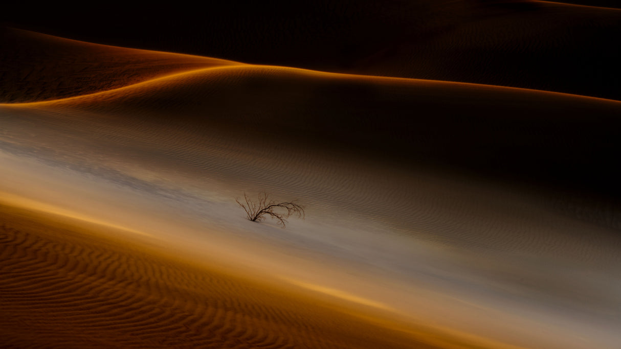 The Lone Survivor in Death Valley Poster och Canvastavla