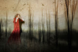 As a song in search of a voice that is silent Poster och Canvastavla