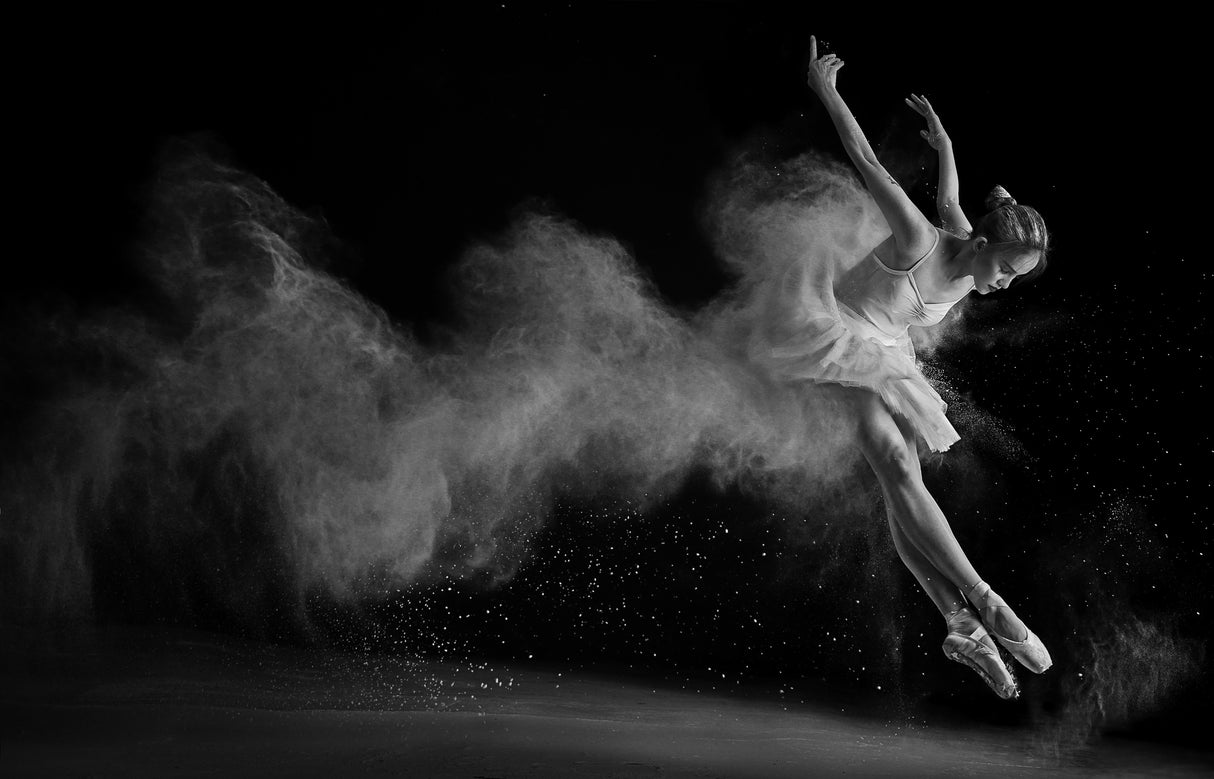 The White Swan Poster och Canvastavla