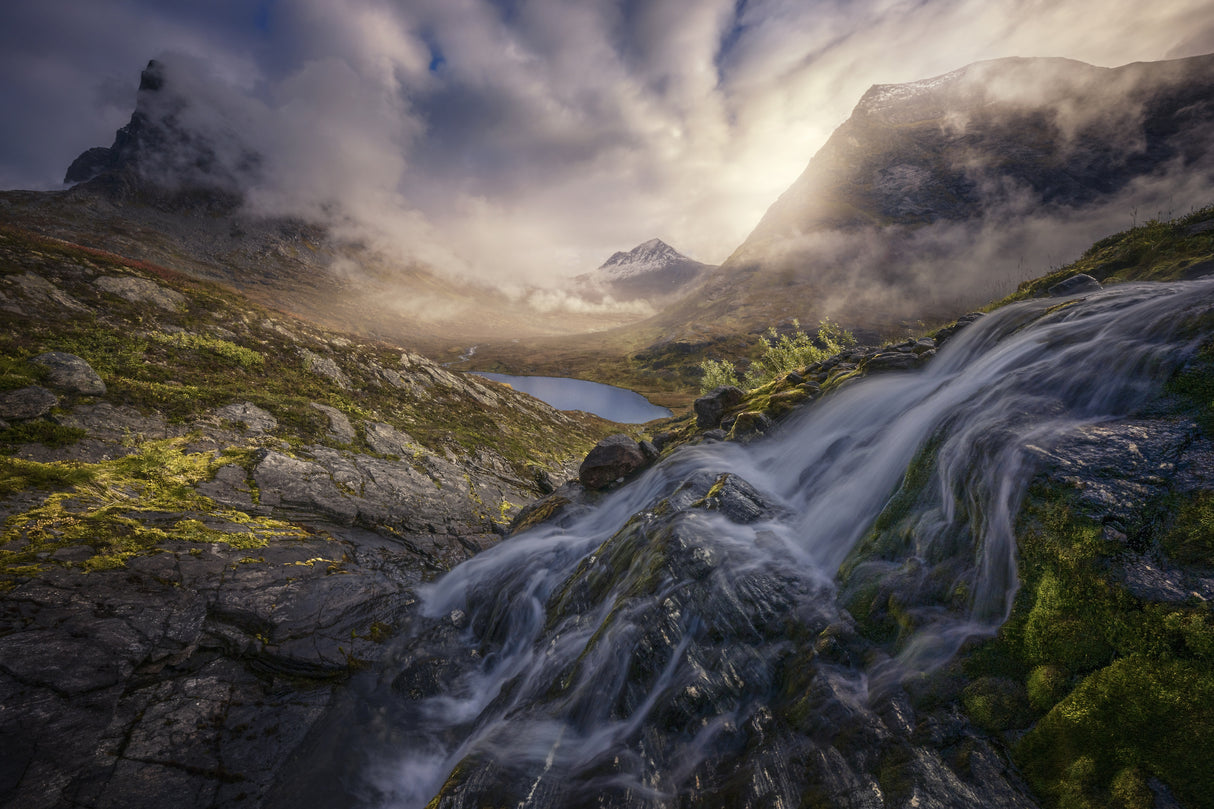 Place of fairies and trolls IV Poster och Canvastavla